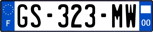GS-323-MW