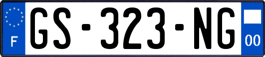 GS-323-NG