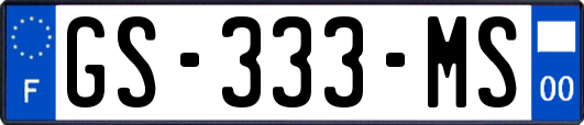 GS-333-MS
