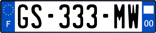 GS-333-MW