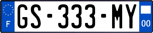 GS-333-MY