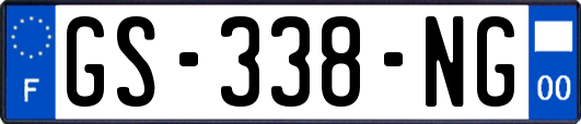 GS-338-NG