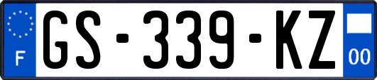 GS-339-KZ