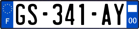 GS-341-AY