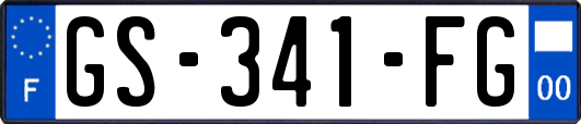 GS-341-FG
