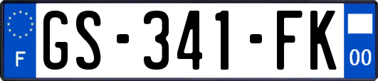 GS-341-FK