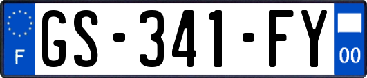 GS-341-FY