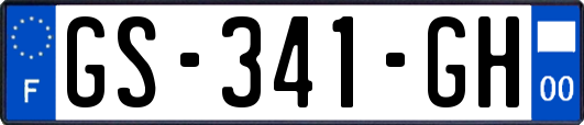 GS-341-GH