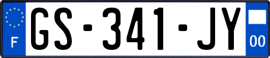 GS-341-JY