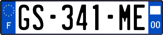 GS-341-ME