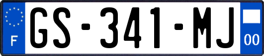 GS-341-MJ