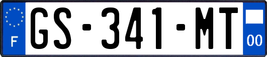 GS-341-MT