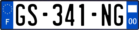GS-341-NG
