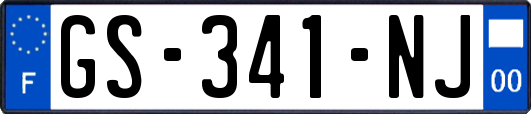 GS-341-NJ