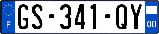 GS-341-QY