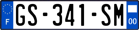 GS-341-SM