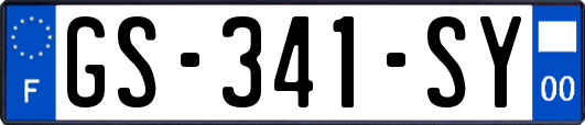 GS-341-SY