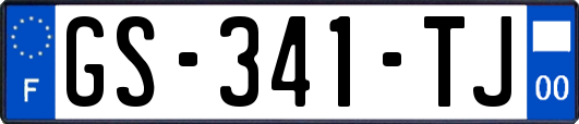 GS-341-TJ