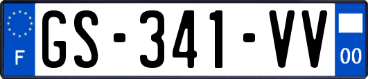 GS-341-VV