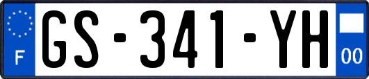 GS-341-YH