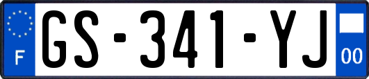 GS-341-YJ