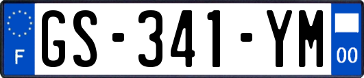 GS-341-YM