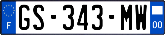 GS-343-MW