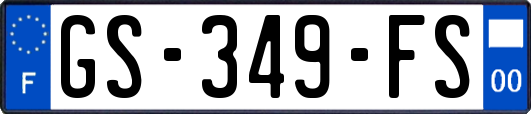GS-349-FS