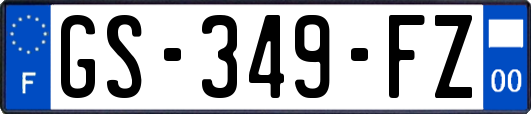 GS-349-FZ