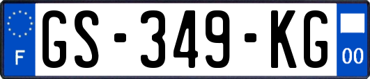GS-349-KG