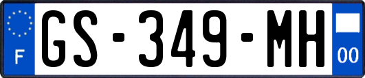 GS-349-MH
