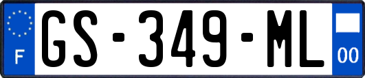 GS-349-ML