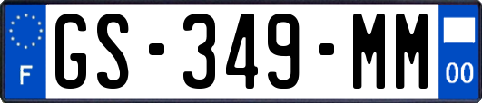 GS-349-MM