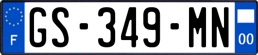 GS-349-MN