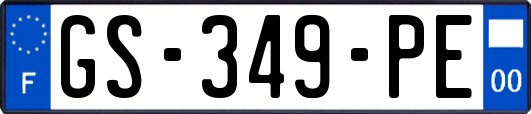 GS-349-PE