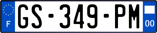 GS-349-PM