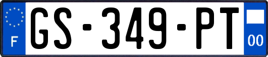 GS-349-PT
