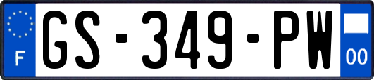 GS-349-PW