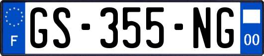 GS-355-NG