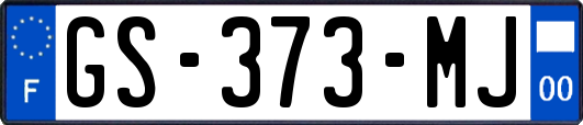 GS-373-MJ