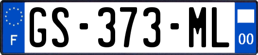 GS-373-ML