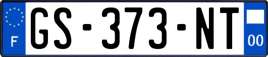 GS-373-NT