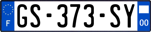 GS-373-SY
