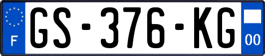 GS-376-KG