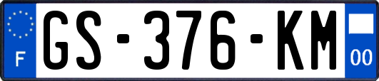 GS-376-KM