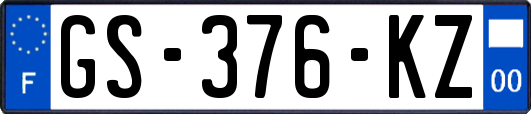 GS-376-KZ