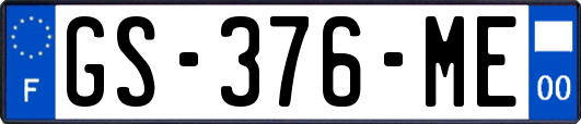 GS-376-ME