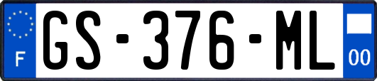 GS-376-ML