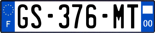 GS-376-MT