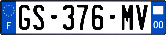 GS-376-MV